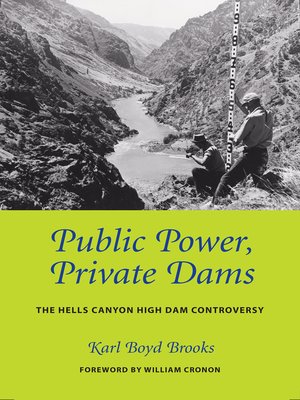 cover image of Public Power, Private Dams